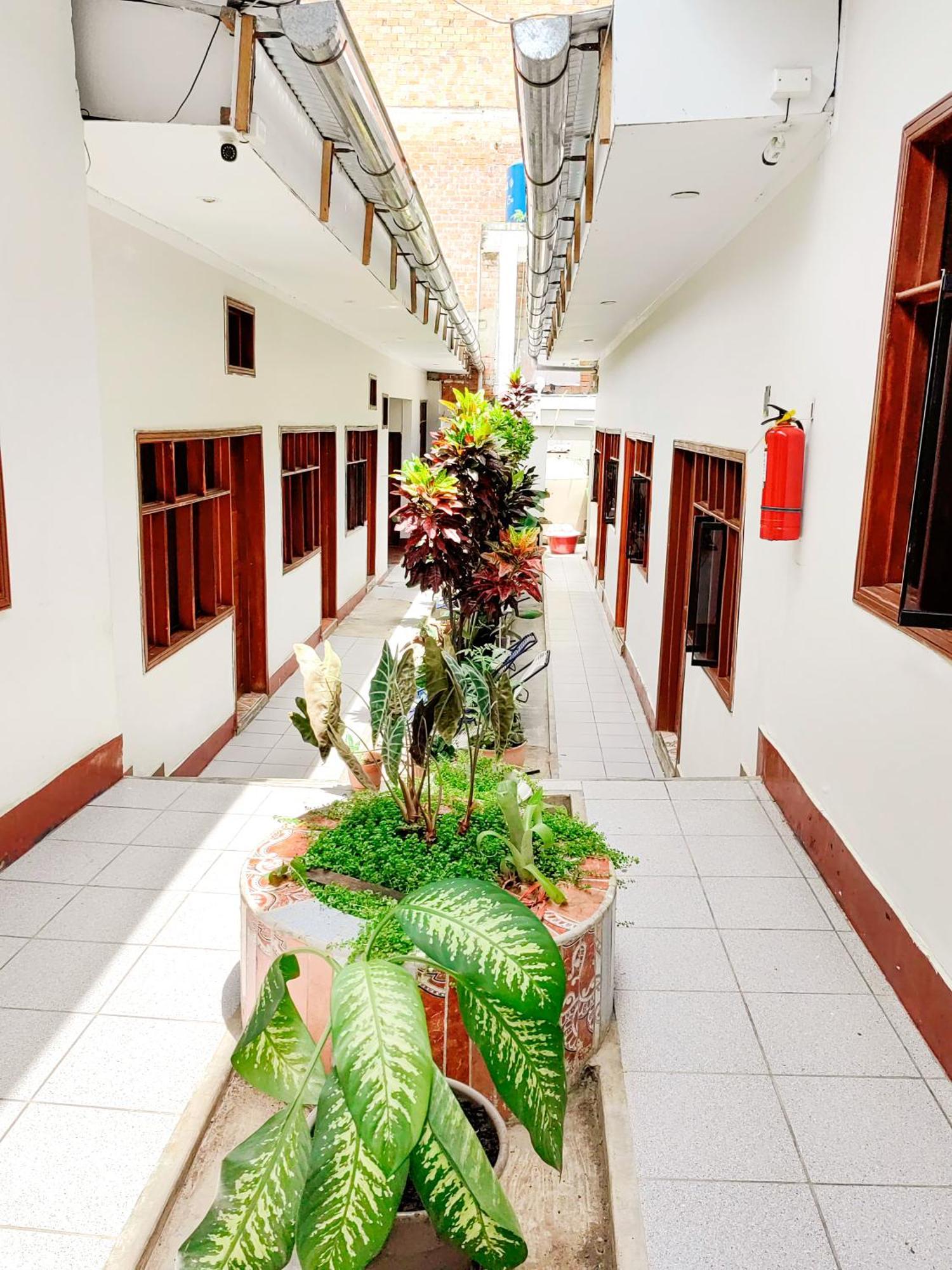 Tengana Hospedaje Y Tours Тарапото Экстерьер фото